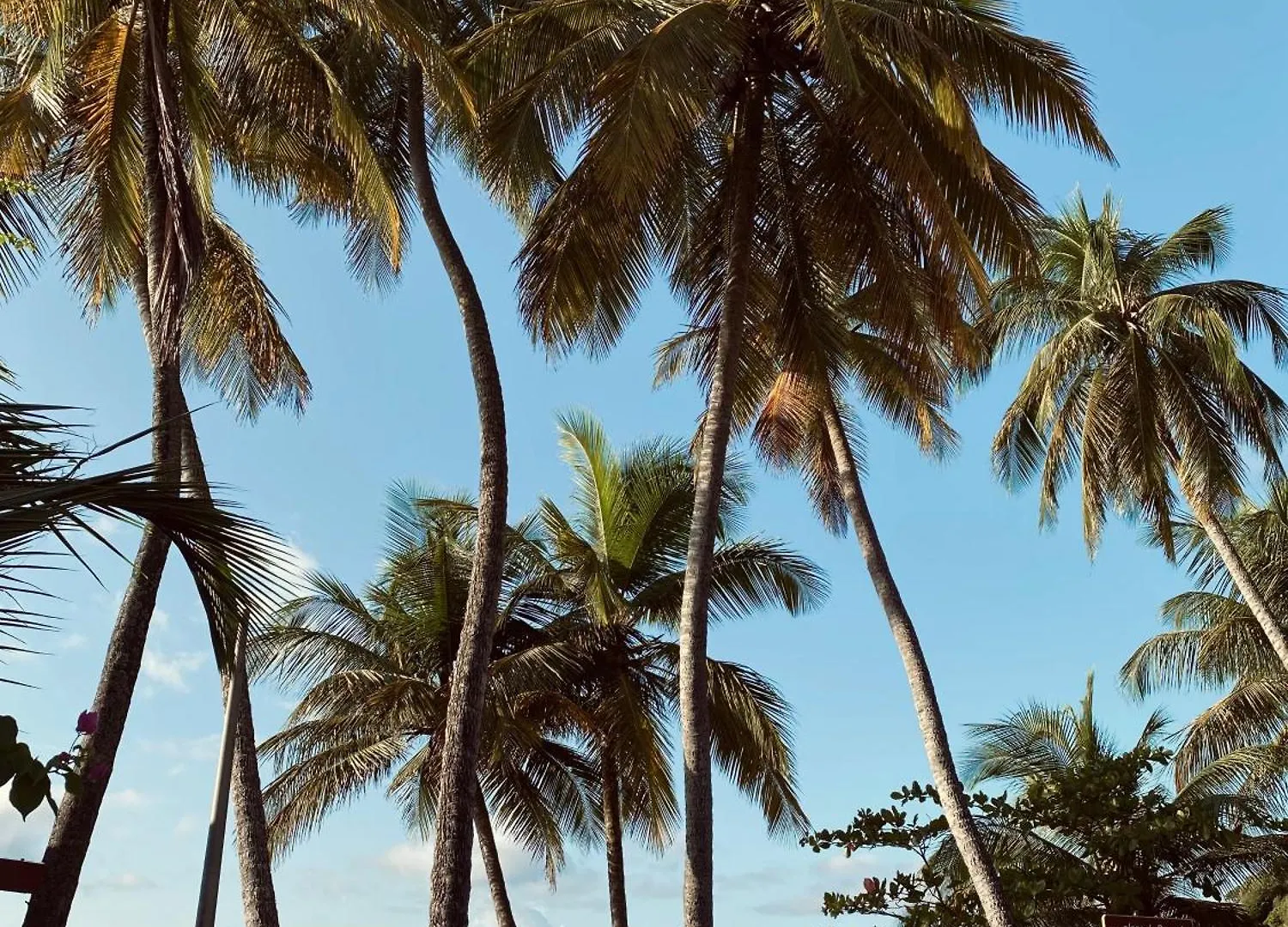 Vida Verde, Vue Sur Mer Capesterre-Belle-Eau 0*,  Guadeloupe